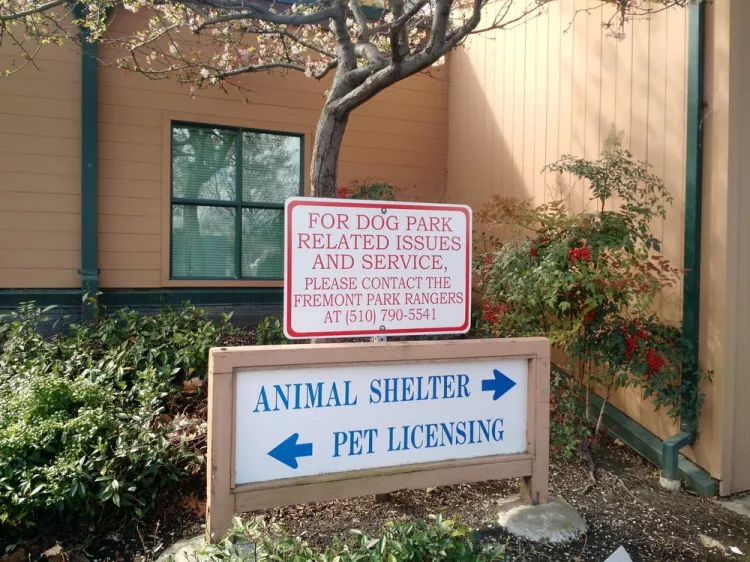 Animal Services-City of Fremont, California, Fremont